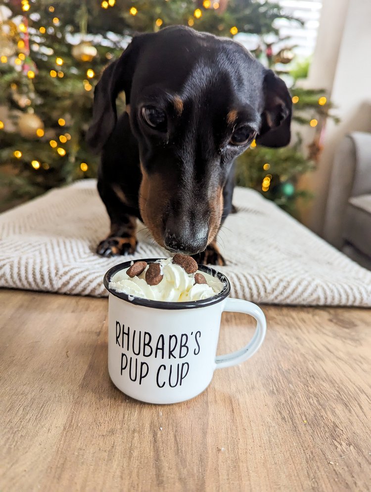 Personalised Enamel Pup Cup